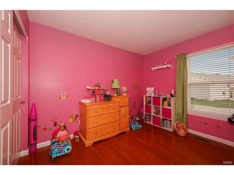 3 Eliot Ct, O'fallon, MO 63366 photo 21