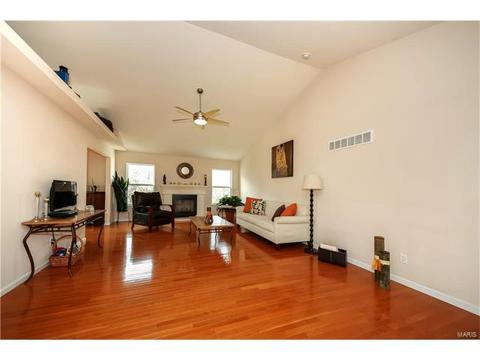3 Eliot Ct, O'fallon, MO 63366 photo 5