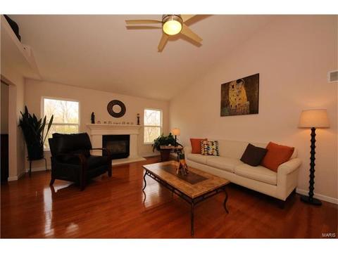 3 Eliot Ct, O'fallon, MO 63366 photo 11