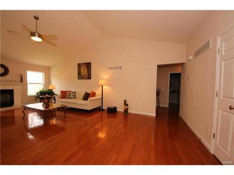 3 Eliot Ct, O'fallon, MO 63366 photo 6