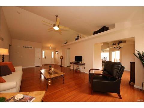 3 Eliot Ct, O'fallon, MO 63366 photo 10