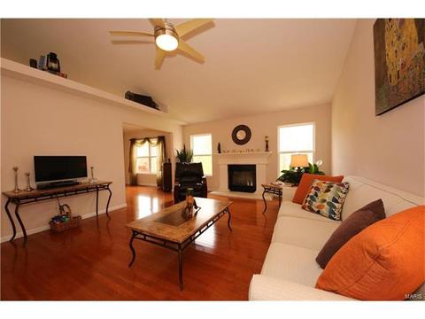 3 Eliot Ct, O'fallon, MO 63366 photo 9