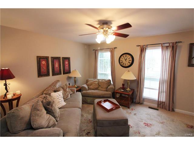 407 Parkview Place Dr, Ellisville, MO 63021 photo 3