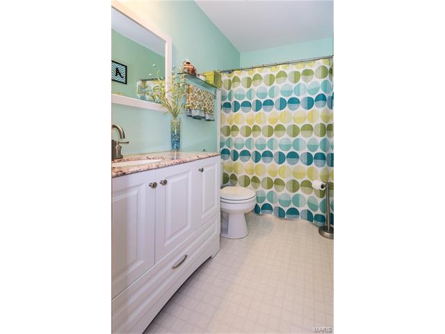 16 Docs Ct, Saint Charles, MO 63303 photo 39