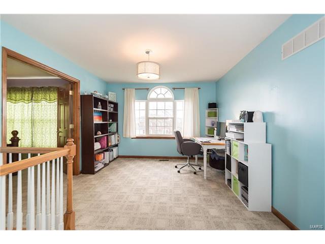 16 Docs Ct, Saint Charles, MO 63303 photo 34
