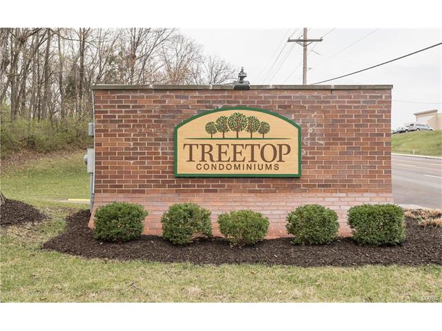 1264 Meadow Knoll Ct, Ballwin, MO 63021 photo 32