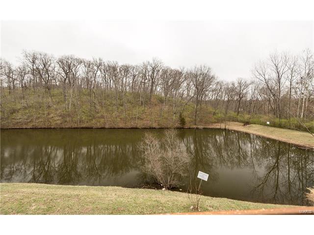 1264 Meadow Knoll Ct, Ballwin, MO 63021 photo 15