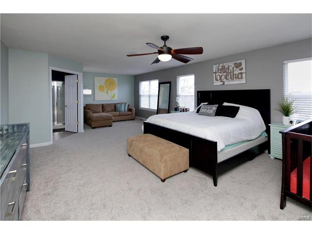 729 Rose Hvn, Ballwin, MO 63021 photo 14