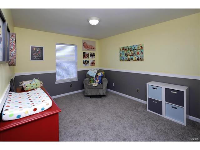 729 Rose Hvn, Ballwin, MO 63021 photo 19