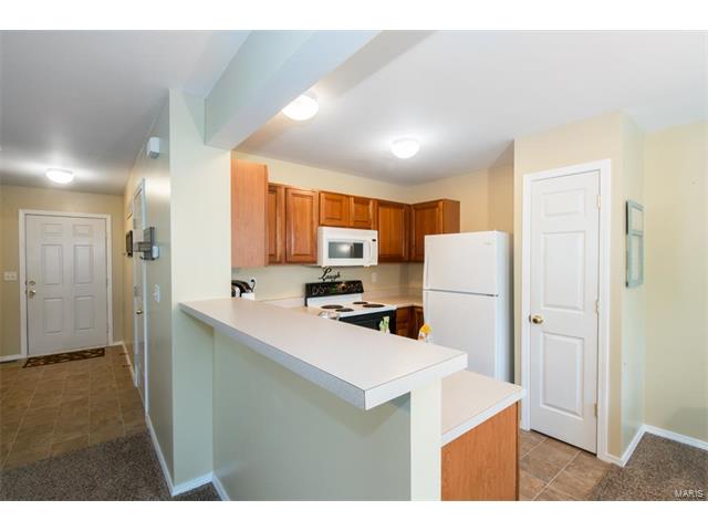 735 Homerun Dr, O'fallon, MO 63366 photo 11