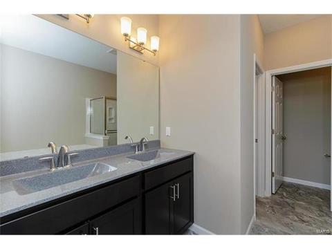 219 Montrose Ct, O'fallon, MO 63368 photo 23