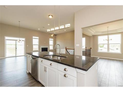 219 Montrose Ct, O'fallon, MO 63368 photo 3