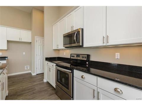 219 Montrose Ct, O'fallon, MO 63368 photo 10