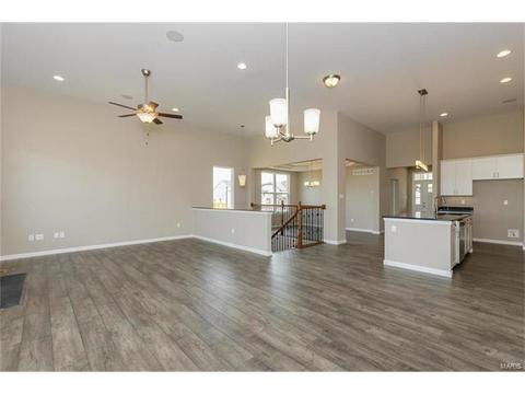 219 Montrose Ct, O'fallon, MO 63368 photo 12