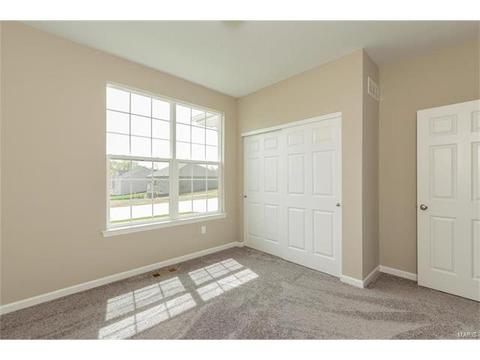 219 Montrose Ct, O'fallon, MO 63368 photo 29