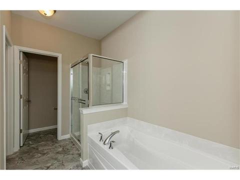 219 Montrose Ct, O'fallon, MO 63368 photo 22