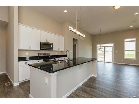 219 Montrose Ct, O'fallon, MO 63368 photo 2