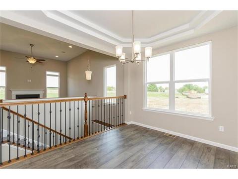219 Montrose Ct, O'fallon, MO 63368 photo 19