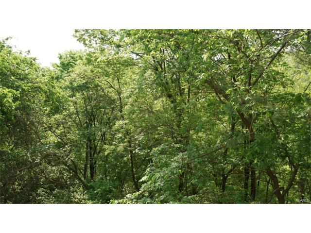 725 Ridgeside #J, Ballwin, MO 63021 photo 2