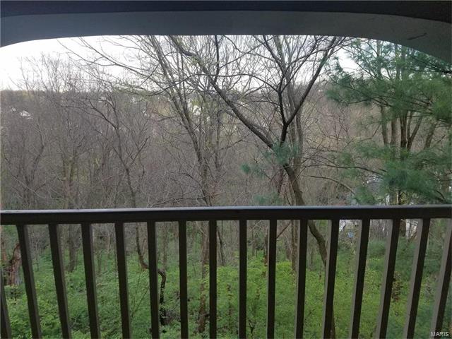 725 Ridgeside #J, Ballwin, MO 63021 photo 21