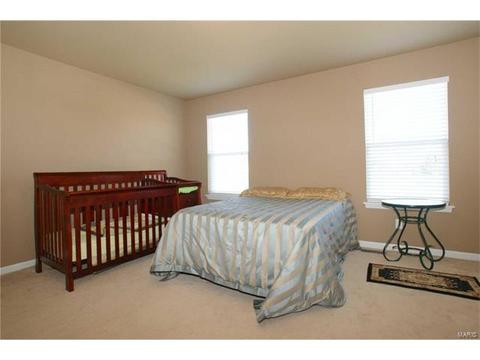 202 Irish Hound Dr, O'fallon, MO 63368 photo 17