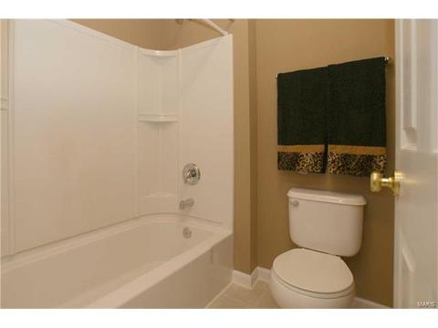 202 Irish Hound Dr, O'fallon, MO 63368 photo 20