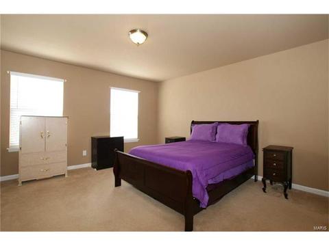 202 Irish Hound Dr, O'fallon, MO 63368 photo 18