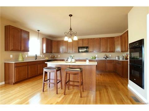 202 Irish Hound Dr, O'fallon, MO 63368 photo 7