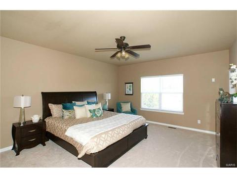 202 Irish Hound Dr, O'fallon, MO 63368 photo 12