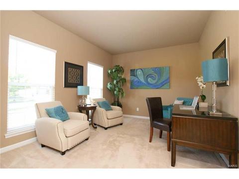 202 Irish Hound Dr, O'fallon, MO 63368 photo 11