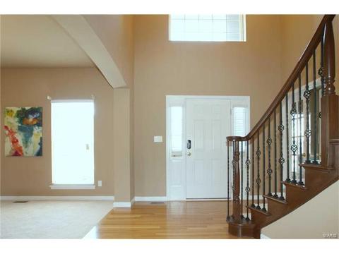 202 Irish Hound Dr, O'fallon, MO 63368 photo 3