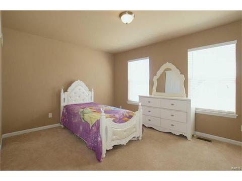 202 Irish Hound Dr, O'fallon, MO 63368 photo 21