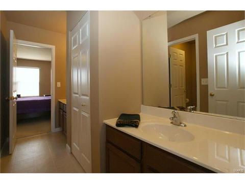 202 Irish Hound Dr, O'fallon, MO 63368 photo 19