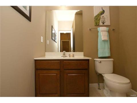 202 Irish Hound Dr, O'fallon, MO 63368 photo 14