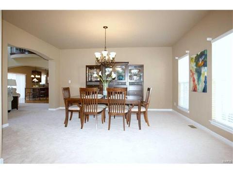 202 Irish Hound Dr, O'fallon, MO 63368 photo 5