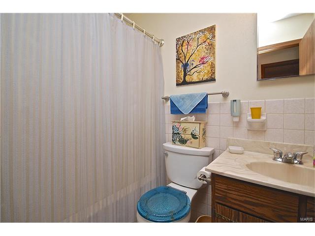 113 Hickory Hill Dr, Eureka, MO 63025 photo 18