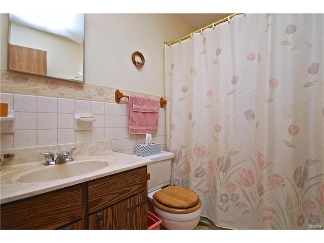 113 Hickory Hill Dr, Eureka, MO 63025 photo 13