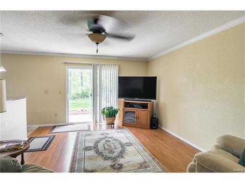 415 Wildbrier Dr, Ballwin, MO 63011 photo 18