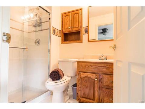 415 Wildbrier Dr, Ballwin, MO 63011 photo 22