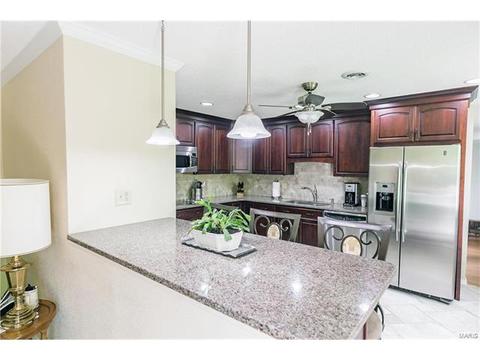 415 Wildbrier Dr, Ballwin, MO 63011 photo 13