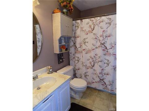 518 Oak Brg, Ballwin, MO 63021 photo 13