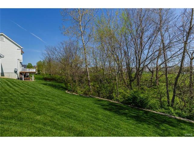 16 Avondale Spring Ct, O'fallon, MO 63368 photo 27