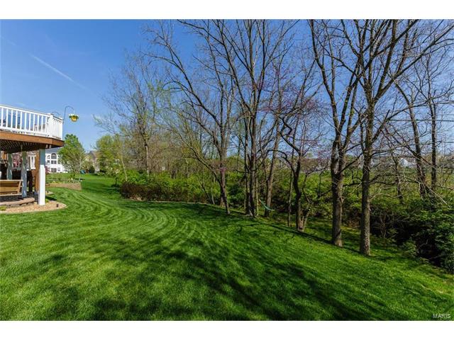 16 Avondale Spring Ct, O'fallon, MO 63368 photo 3