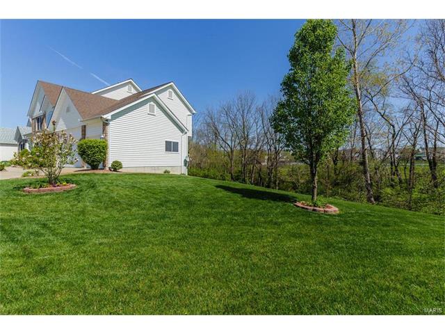16 Avondale Spring Ct, O'fallon, MO 63368 photo 28
