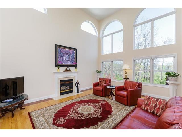 16 Avondale Spring Ct, O'fallon, MO 63368 photo 5