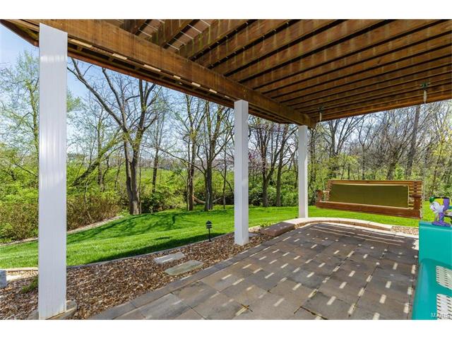 16 Avondale Spring Ct, O'fallon, MO 63368 photo 24