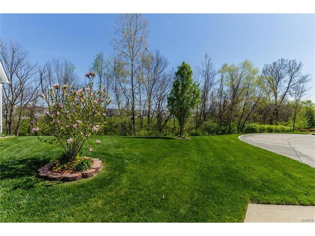 16 Avondale Spring Ct, O'fallon, MO 63368 photo 26