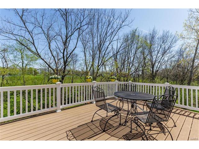 16 Avondale Spring Ct, O'fallon, MO 63368 photo 2