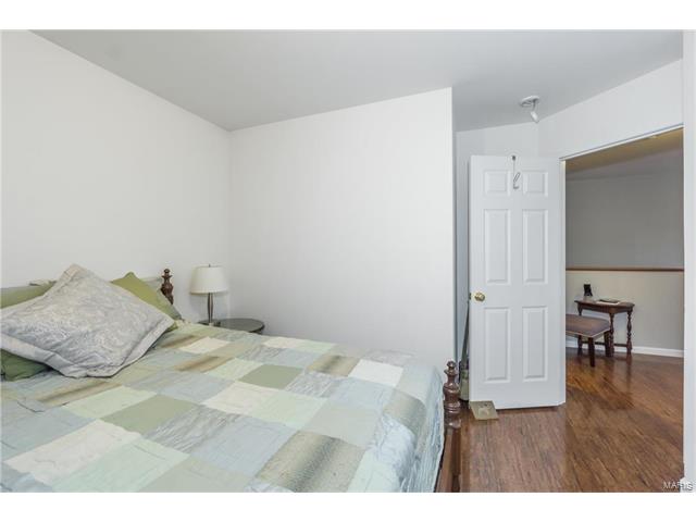 221 Spring Borough Dr, O'fallon, MO 63368 photo 28