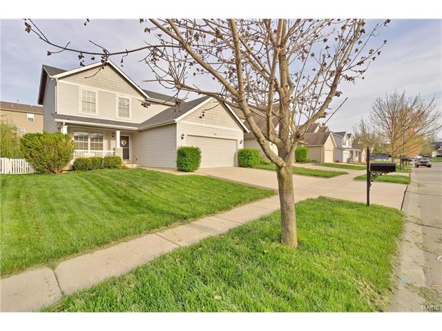 221 Spring Borough Dr, O'fallon, MO 63368 photo 6